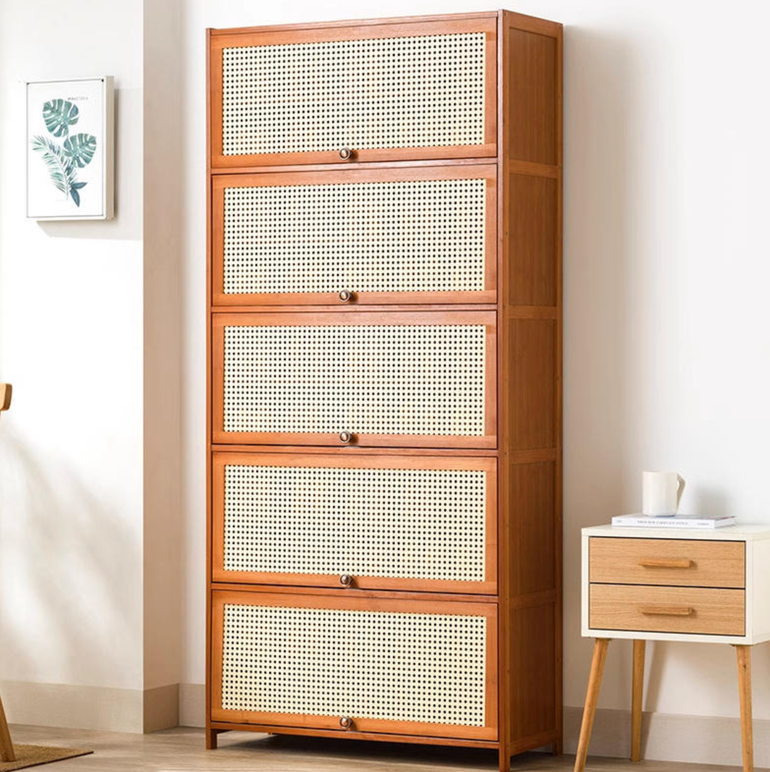 Modern Multi-Layer Shoe Storage Cabinet with Doors